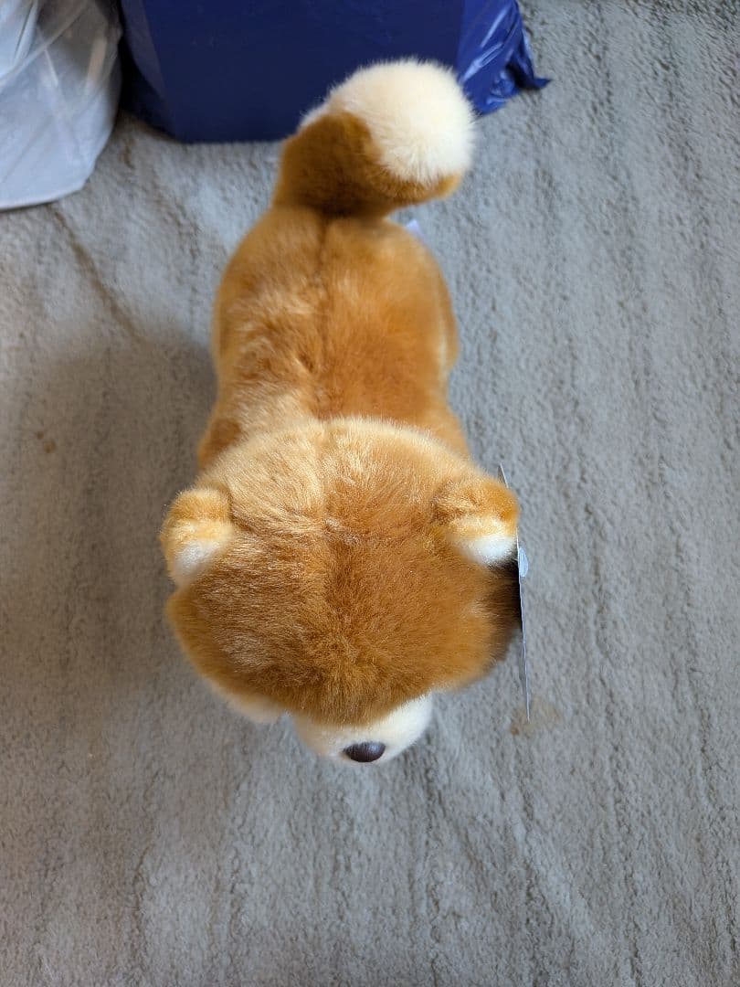 ((激レア))櫻坂46 しかくに