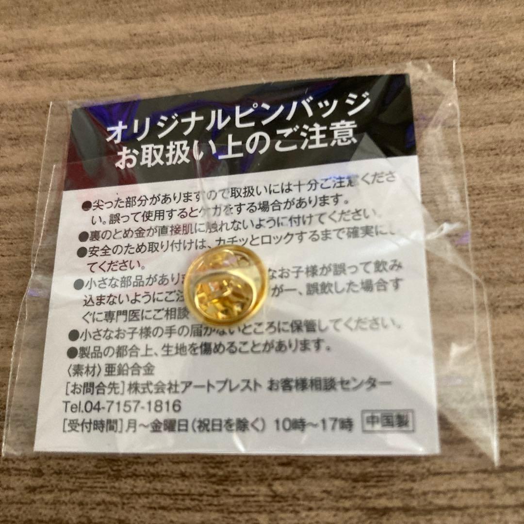 有馬記念 70周年 ピンバッジ