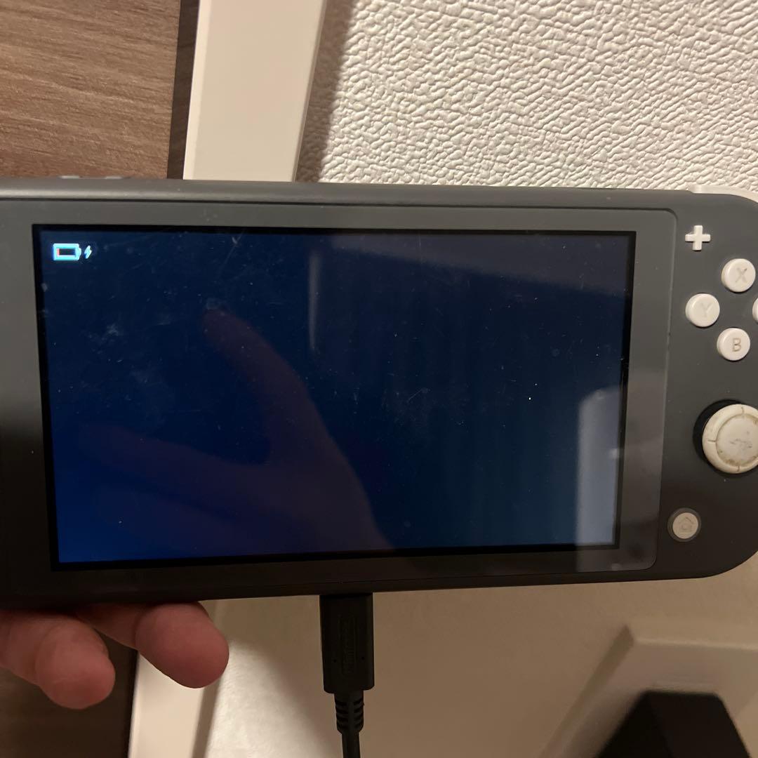 【不具合あり】Nintendo Switchライト　グレー