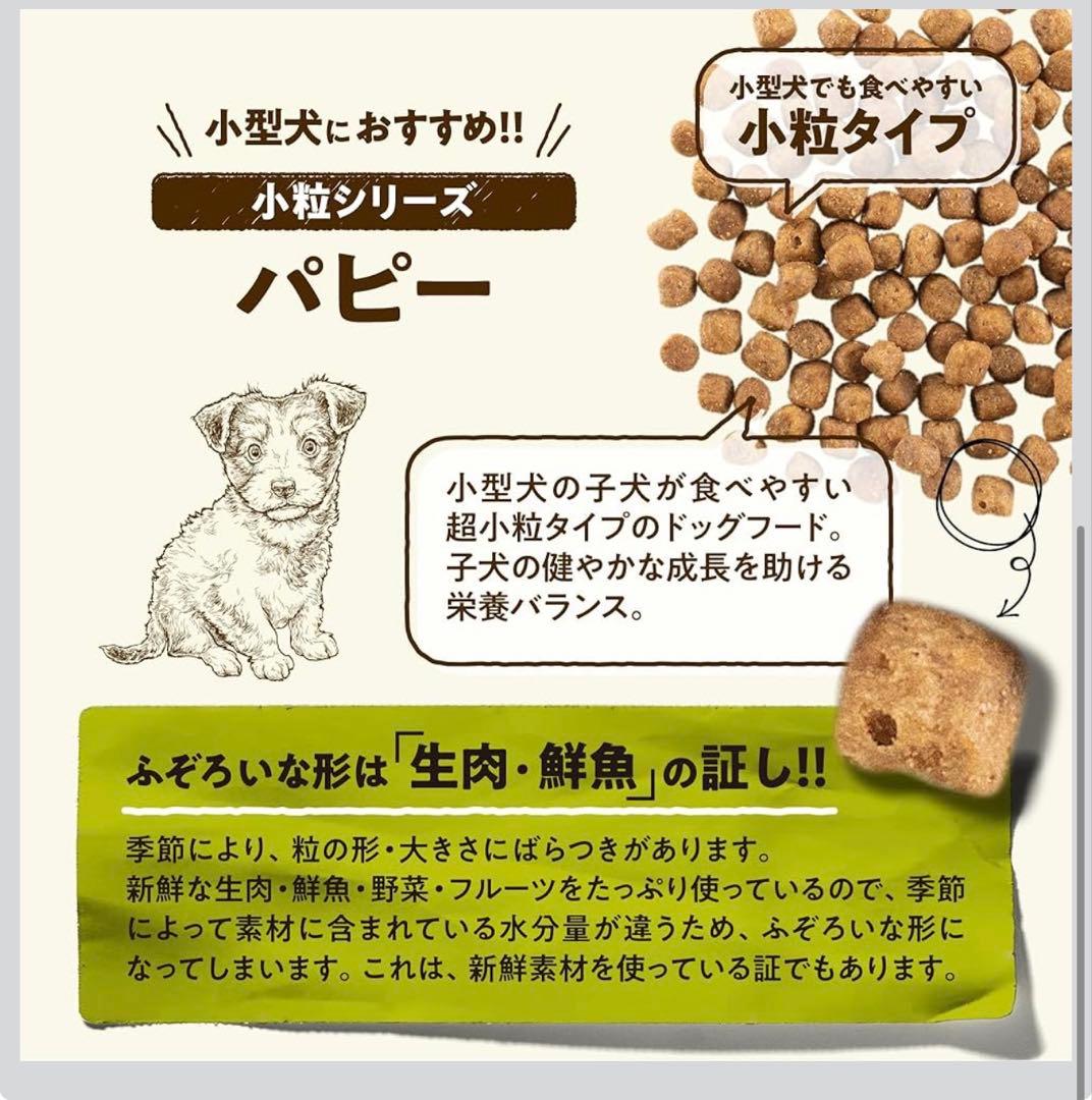 NOW FRESH スモールブリードパピー 9.98kg