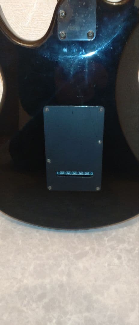 Aria Pro II アリアプロ2　Black Dog