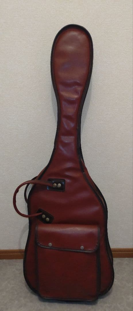 Aria Pro II アリアプロ2　Black Dog