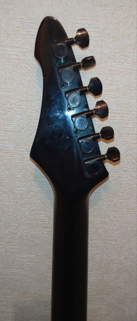 Aria Pro II アリアプロ2　Black Dog