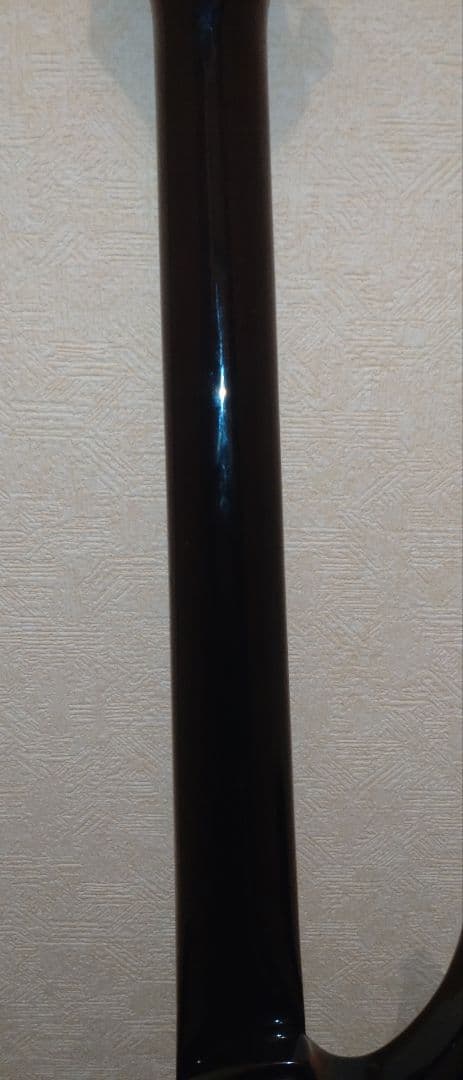 Aria Pro II アリアプロ2　Black Dog