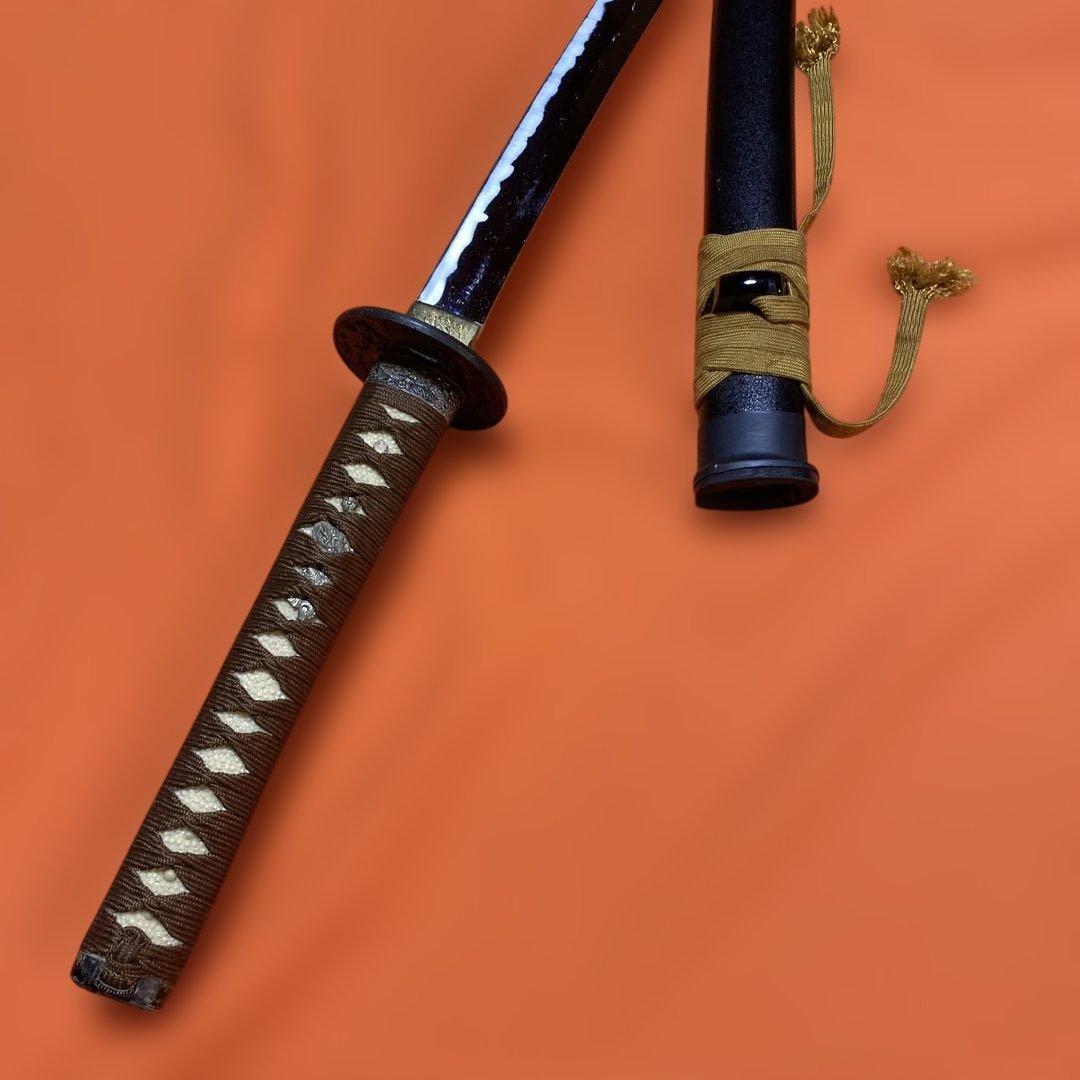 格安上質模造刀 茶柄 雲龍楕円鍔 黒梨地鞘