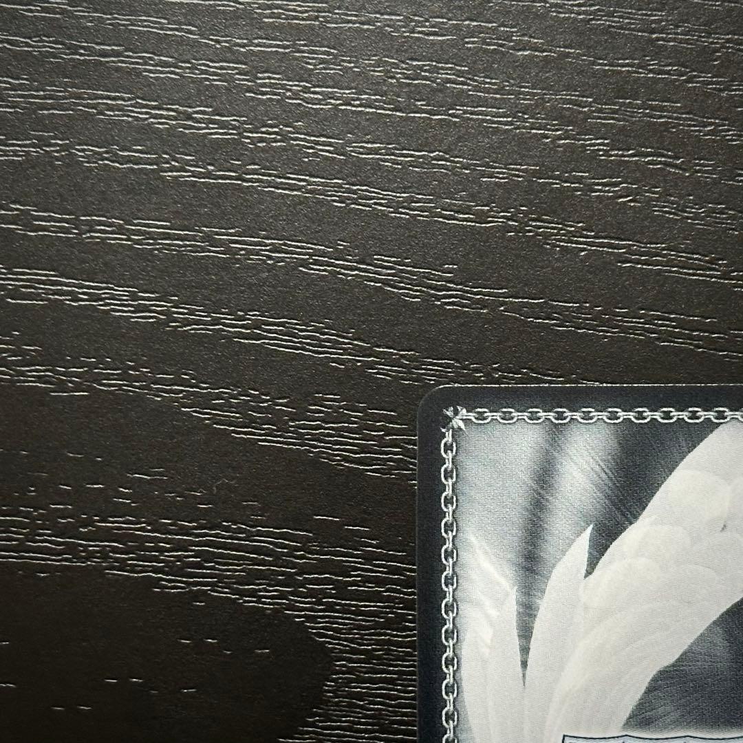 WS ダイドー SP サイン アズレン