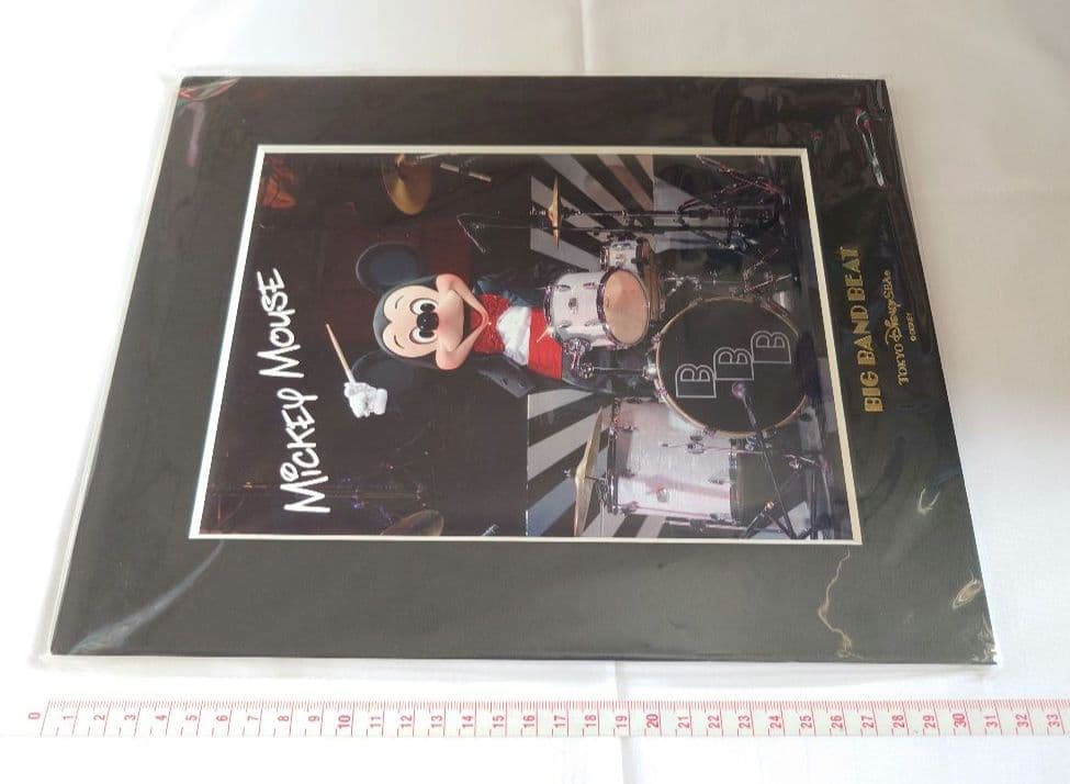 ディズニーシー BIG BAND BEAT スターフォト