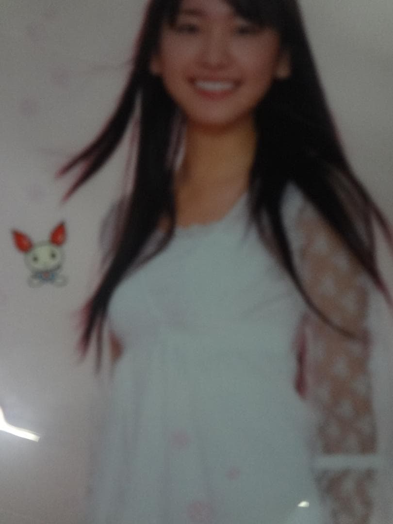 新垣結衣　　入手困難非売品　　　春の献血クリアファイル