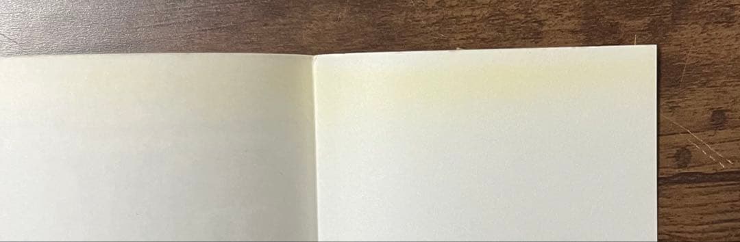 【希少品】ワンピース　ONE PIECE 第1巻チラシ付き初版