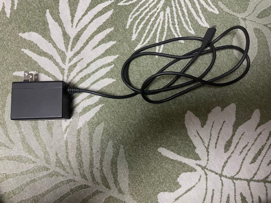 Nintendo Switch Lite 動作確認済みACアダプター付