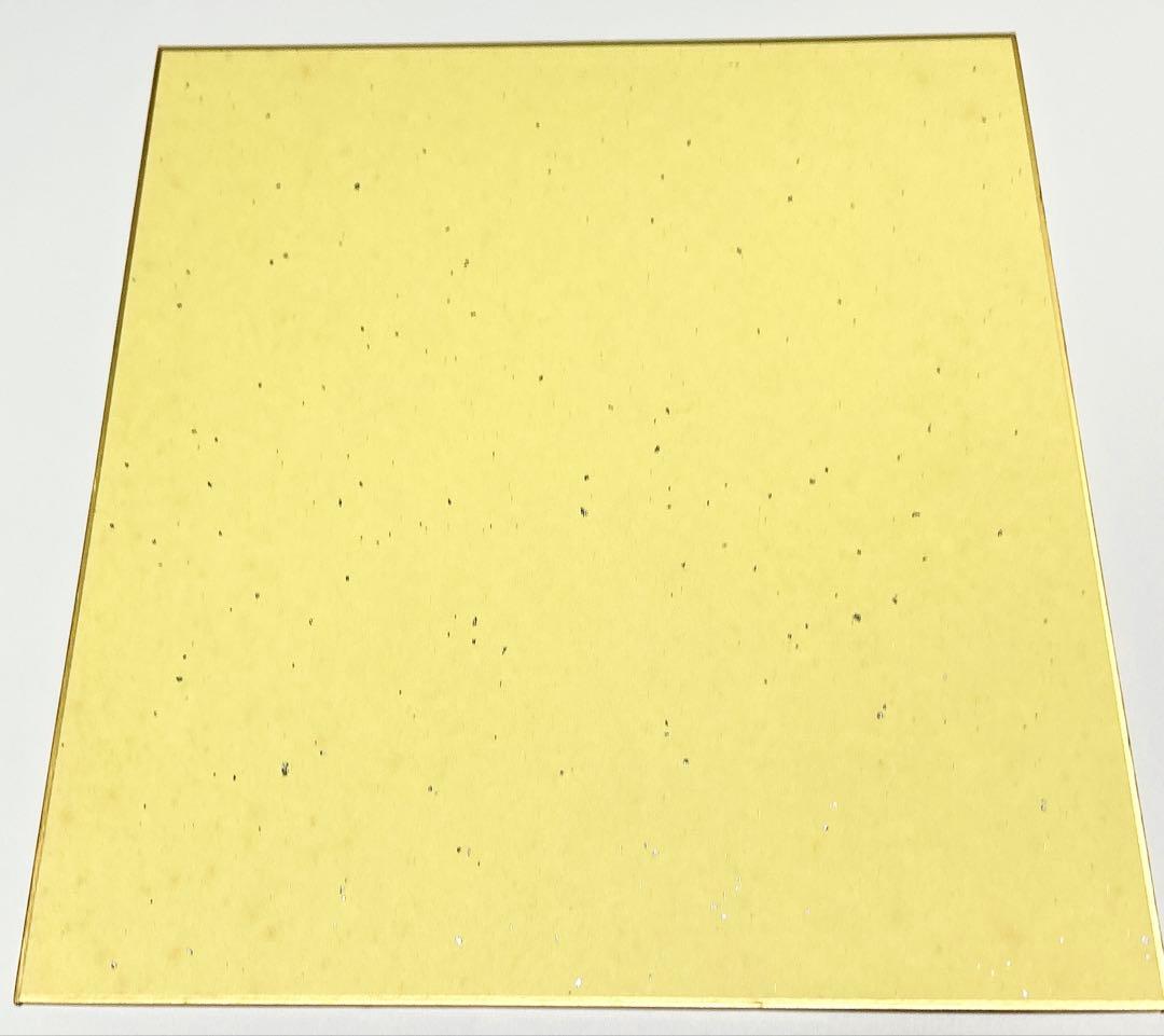 ワイルダネス ヨルムンガンド ブラックラグーン直筆サイン入り複製色紙