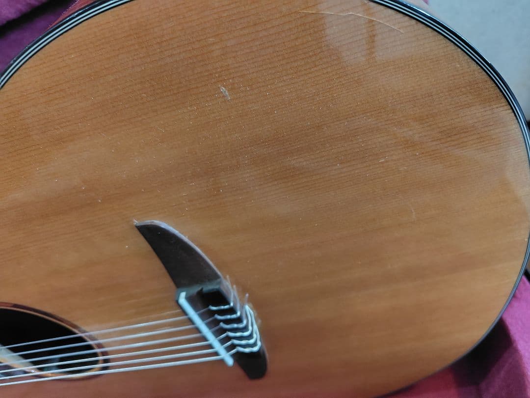 YAMAHA NTX1 エレガットギター セミハードケース付