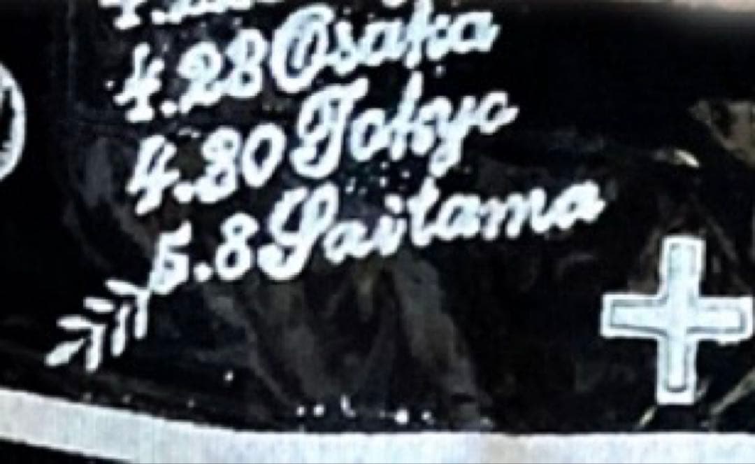 DIE IN CRIES ツアーTシャツ EGOISTの遺言 デランジェ ラルク