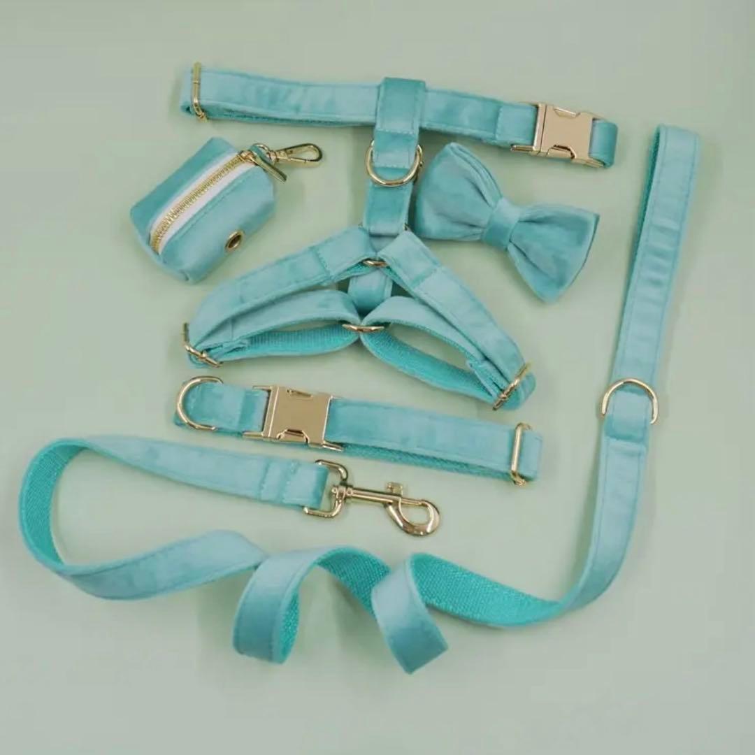 オーダー 名前 首輪 ハーネス リード ベルベット パープル ターコイズ