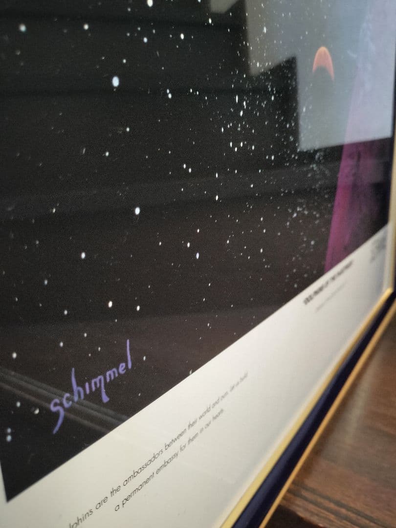 シム・シメール　アート　額