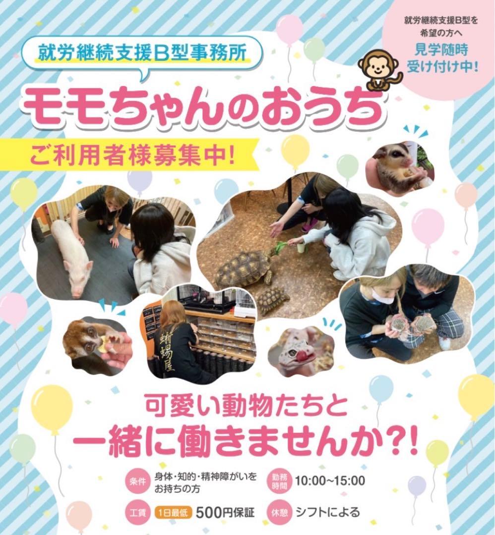 冷凍ラット50g〜60g、30匹セット！