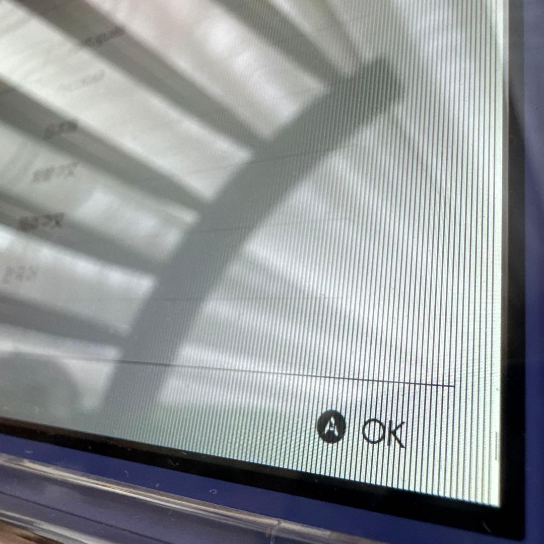 Nintendo Switch Switch lite ケース付き