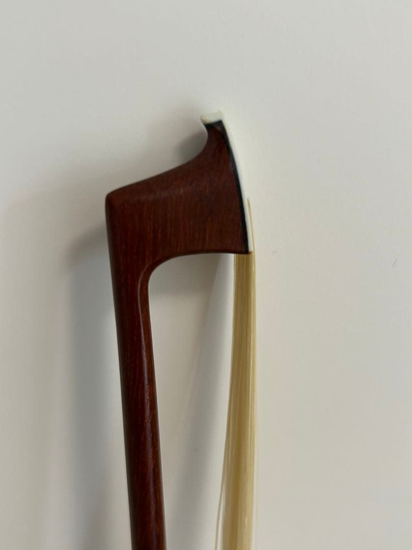 Carlo Giordano カルロジョルダーノ バイオリン VS-F1 4/4