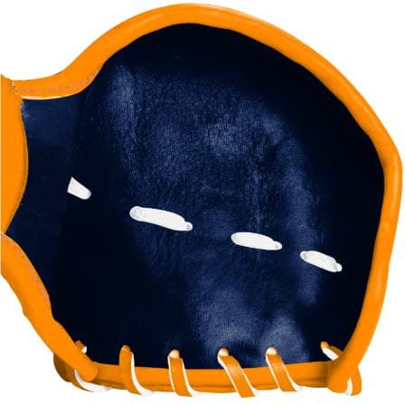 復活の「T」　ミズノプロ　硬式グラブオーダー