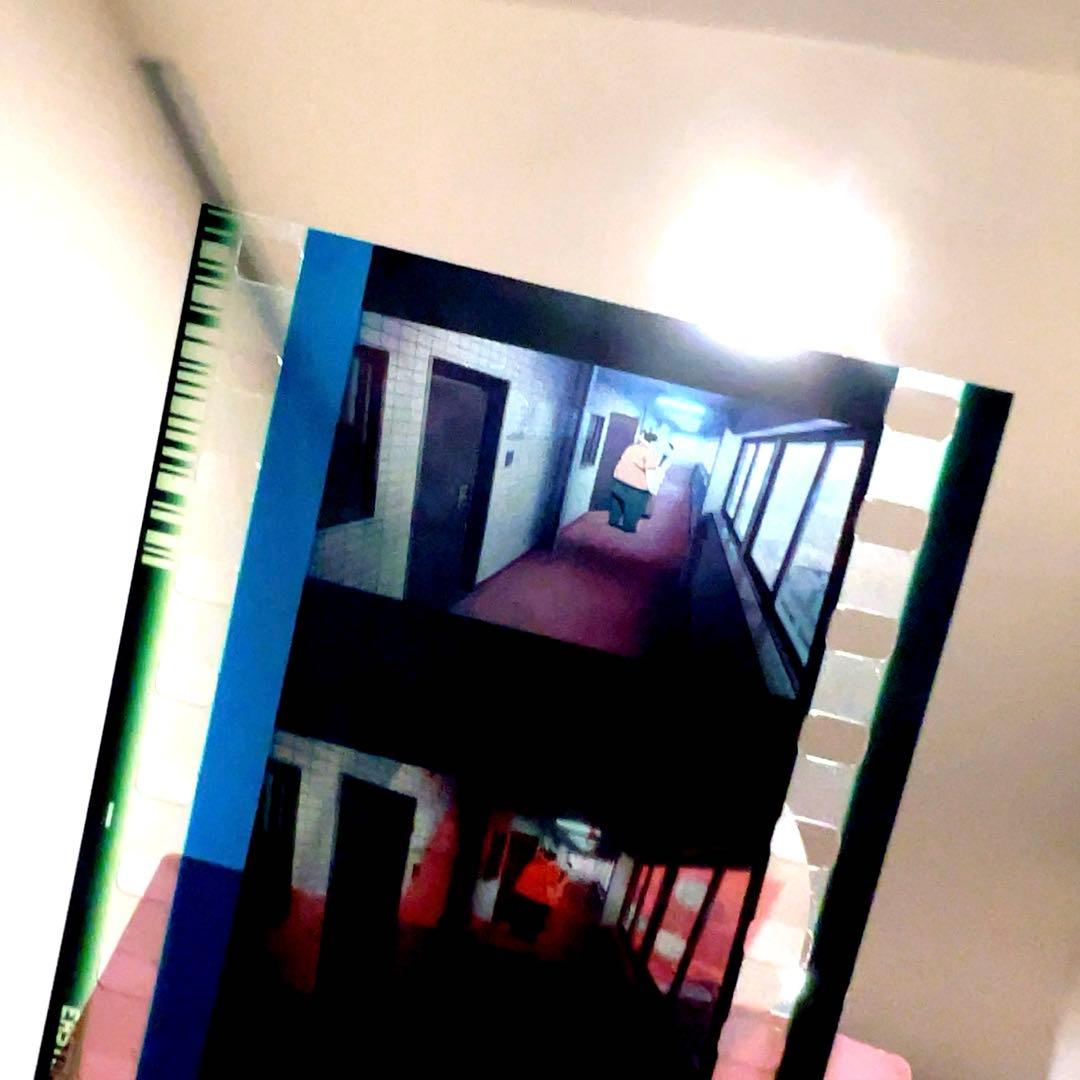 パプリカ 生フィルム 9枚セット