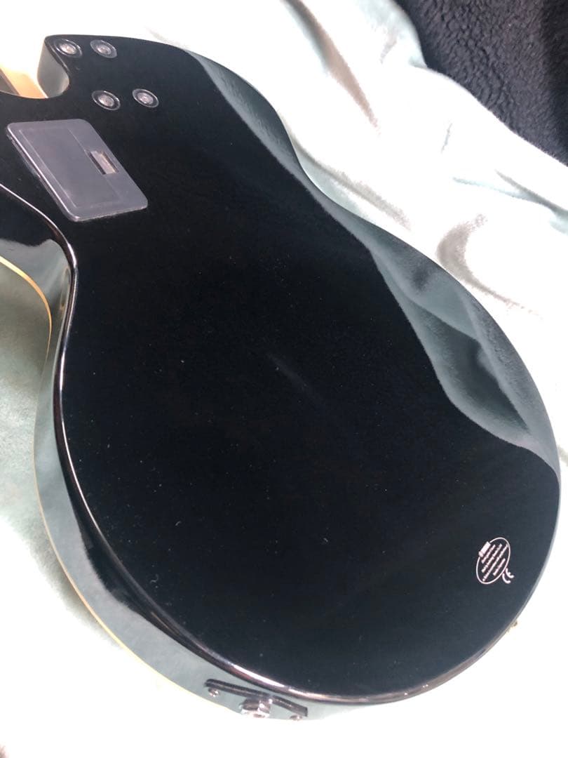 M*9様 ヤマハ　AEX500N エレガット