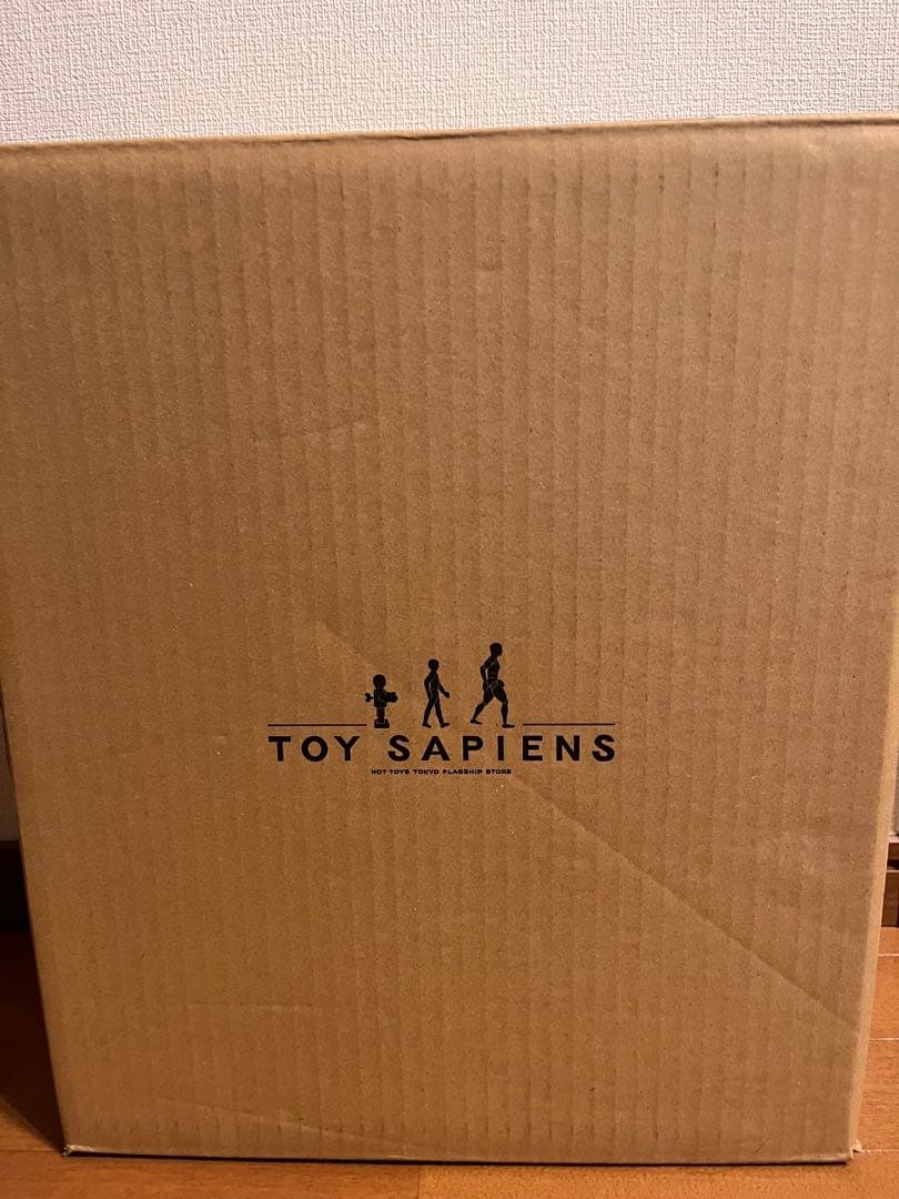 ホットトイズ 1/6 アナキン スカイウォーカー DX34AE アルチザン