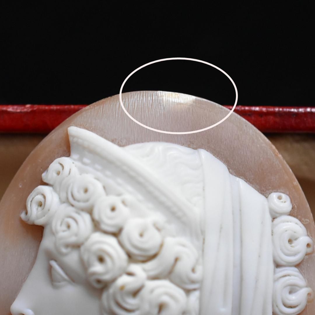 アンティーク 女神ヘラのシェルカメオルース/裸石 ヴィクトリア中期ごろ