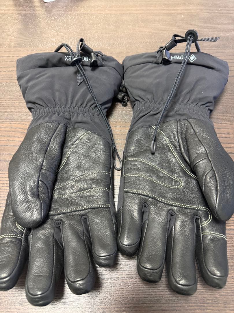 アークテリクス フィション SV グローブ サイズM