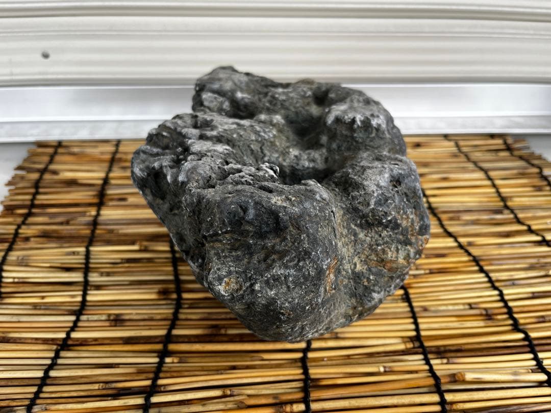 佐治石〈17〉【Taiyoメダカ】