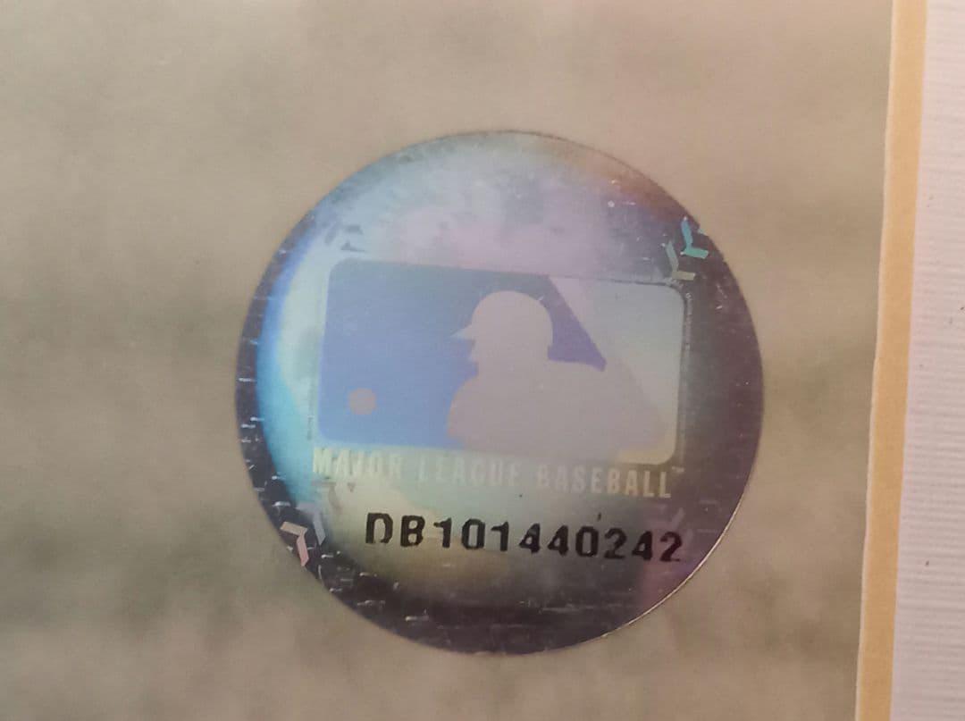 MLB、直筆サイン、石井一久、ルーキーイヤー記念パネル、限定商品シリアルナンバー