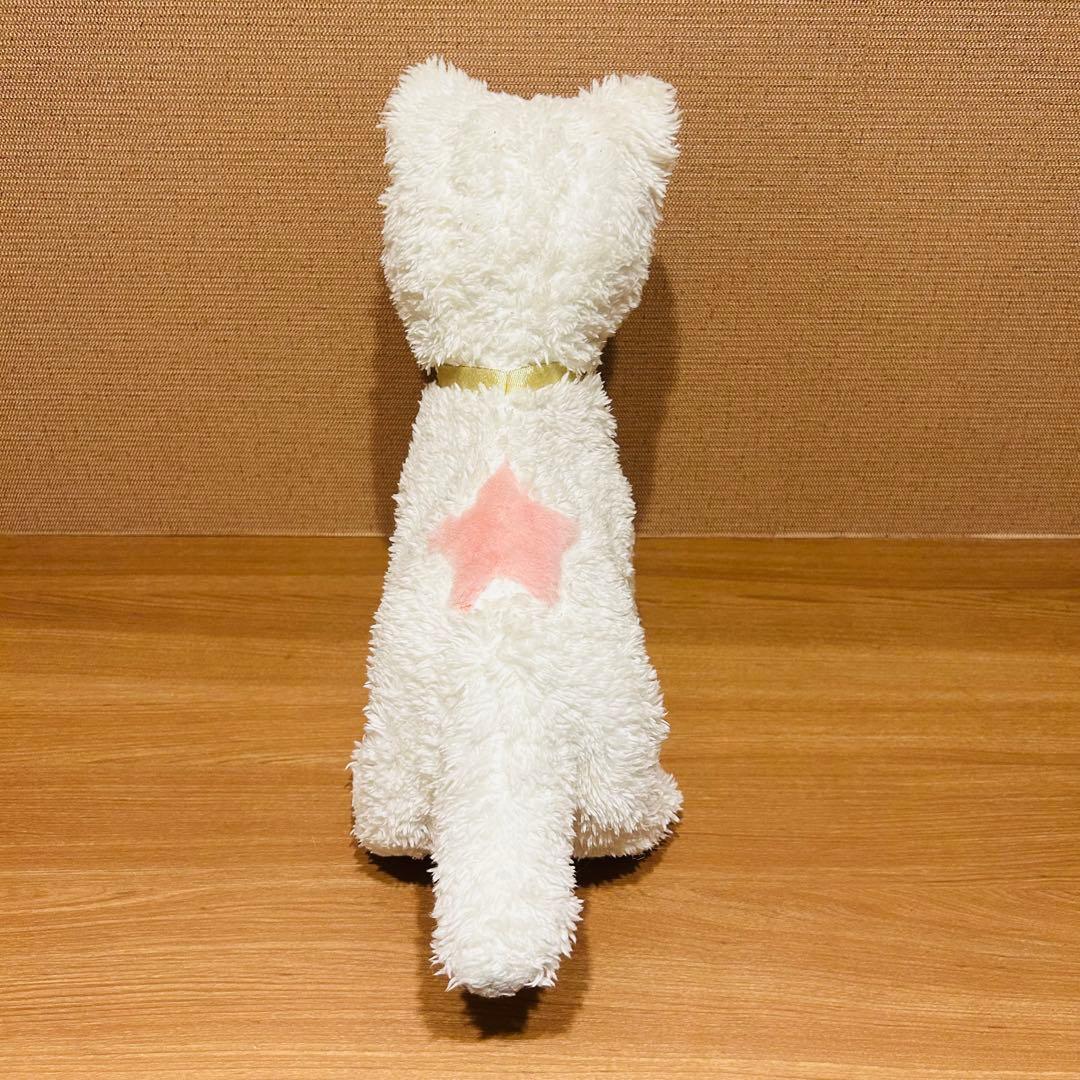 うちのヒロインキャット　さかだちニャッチー