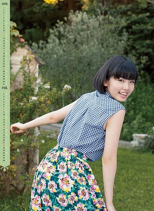 小芝風花　2015壁かけカレンダー