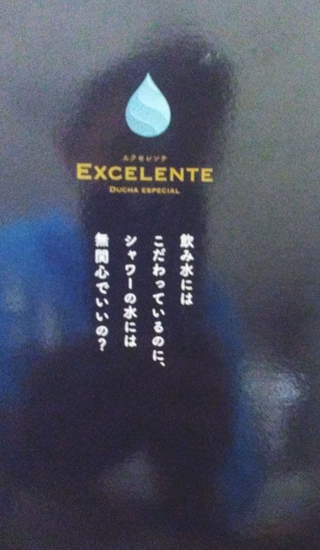 エクスセレンテ Ducha especial シャワーヘッド