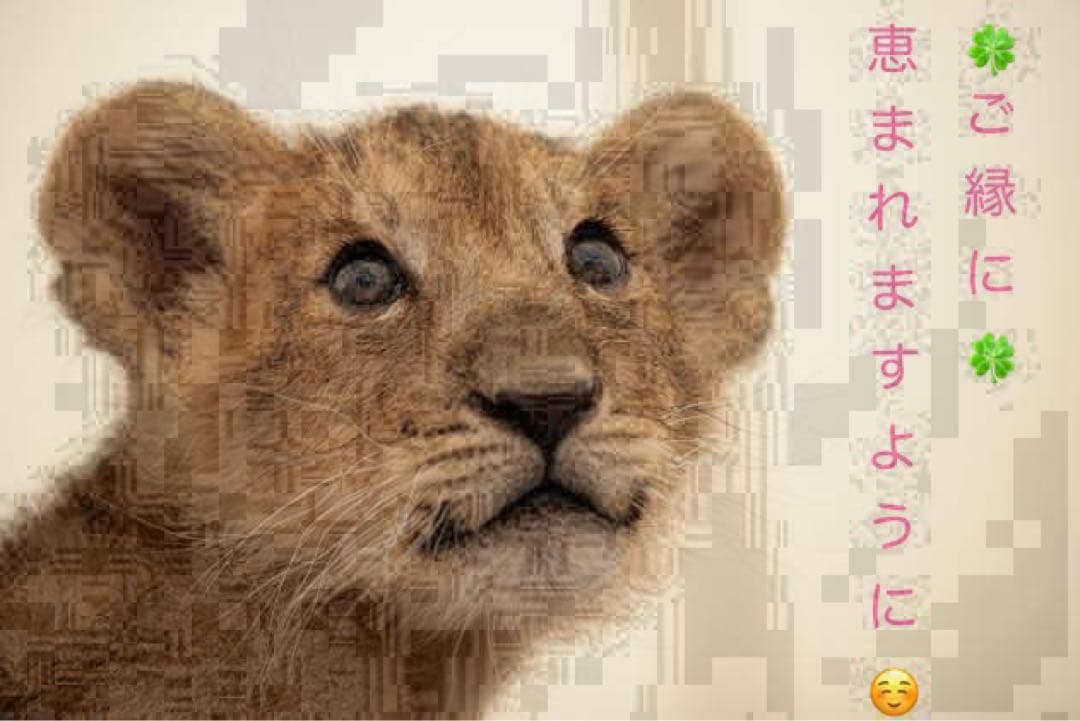 薄桜鬼 缶バッジ