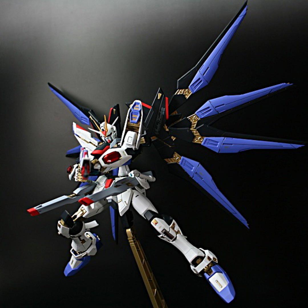 完全改修★ MG1/100 ZGMF-X20Aストライクフリーダム完成品