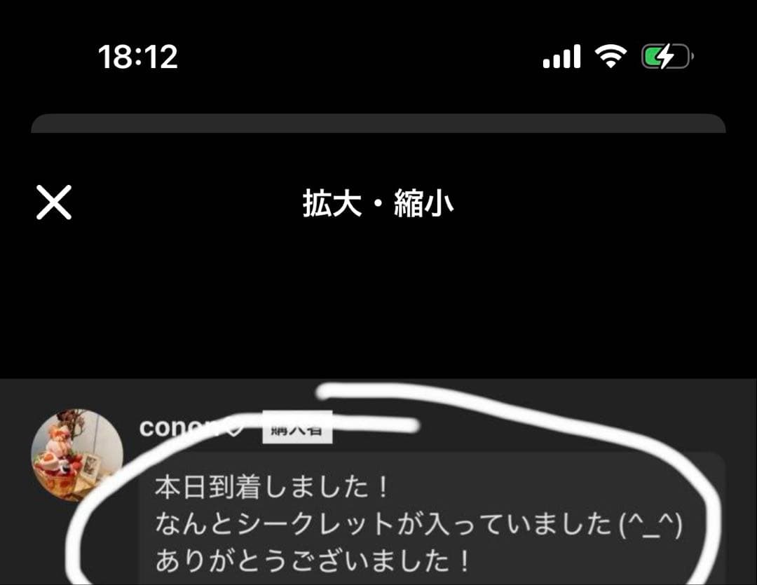 【正規品・未開封】 Labubu Big into Energy 6箱