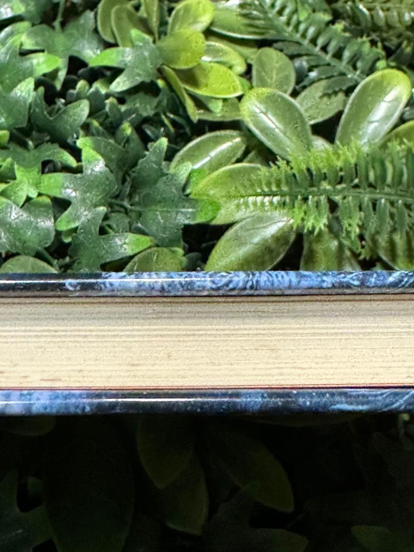 タブーの書 アラン・ワッツ 哲学 思想書