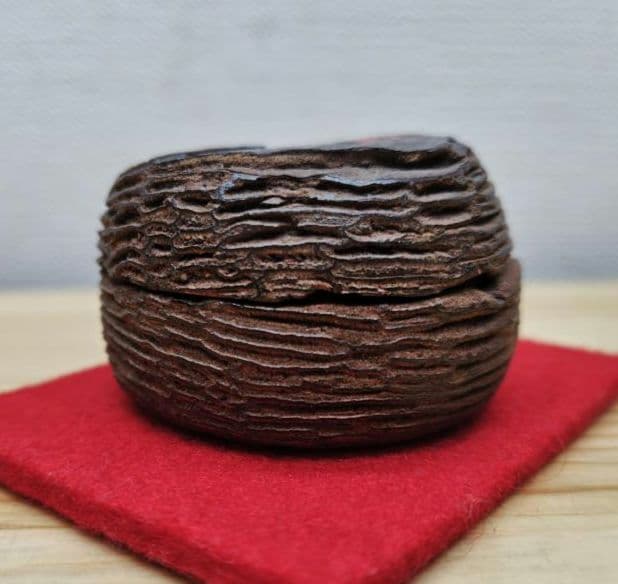 送料込【逢絢亭】茶道具 香合 松皮香合 織部の松を以て 木製 不蔵庵 龍渓 共箱