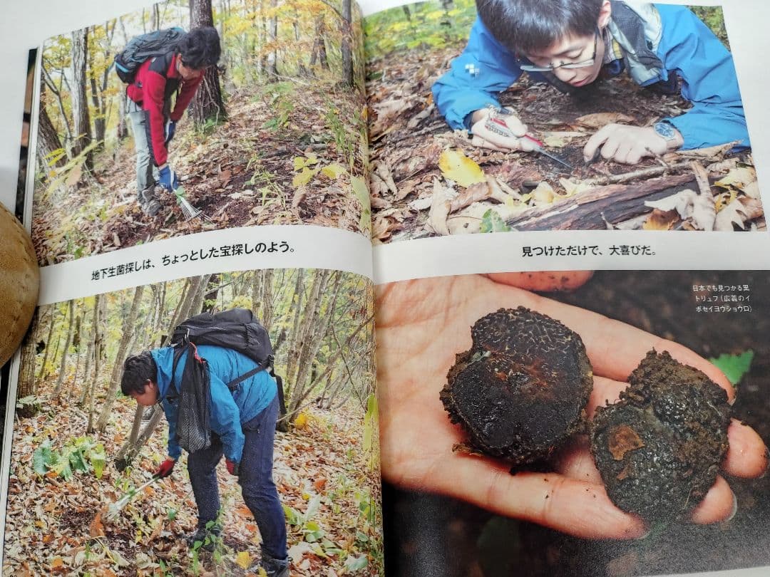 『日本のトリュフ。地下で進化したキノコの仲間たち 地下生菌 識別図鑑』