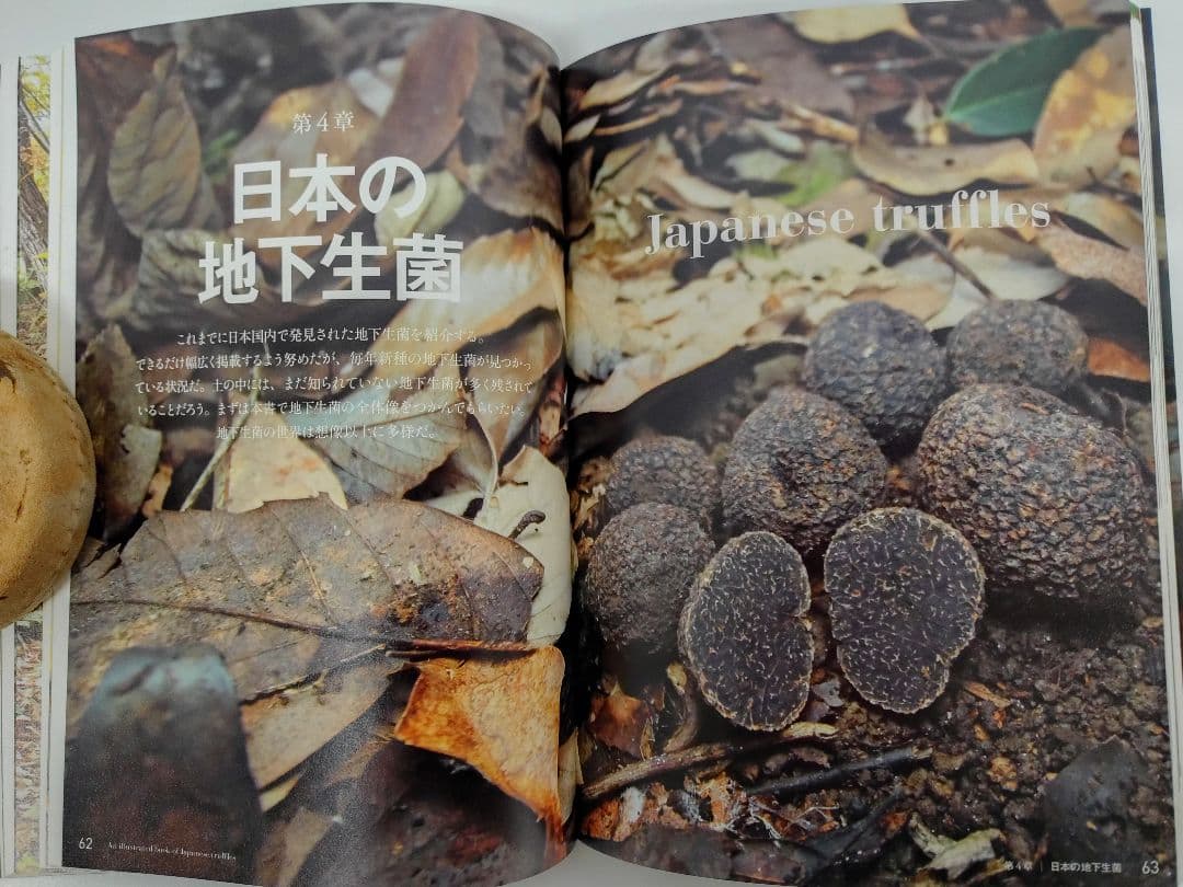 『日本のトリュフ。地下で進化したキノコの仲間たち 地下生菌 識別図鑑』