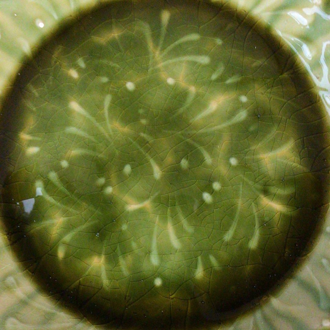 No4975 布志名焼　船木伸児　緑釉丸皿　共箱/栞付　島根県　民藝　送料無料