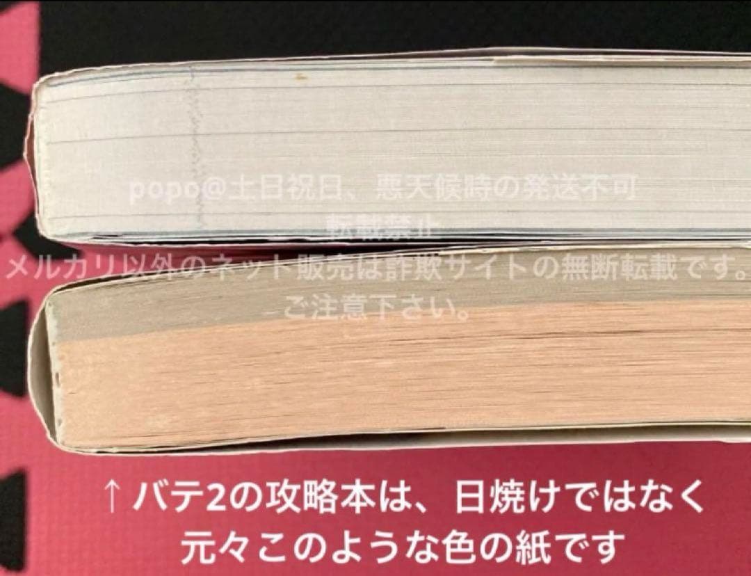 バテンカイトス　ゲームキューブソフト　攻略本　公式設定資料集