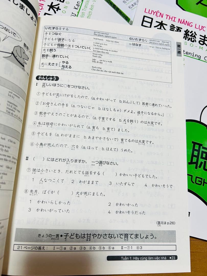 新品　日本語総まとめN1 N2 N3 N4 N5（ベトナム語・英語版） 18冊