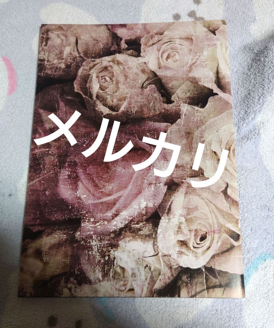 LAREINE ファンクラブFleurラスト会報(メモリアルブック)フルセット