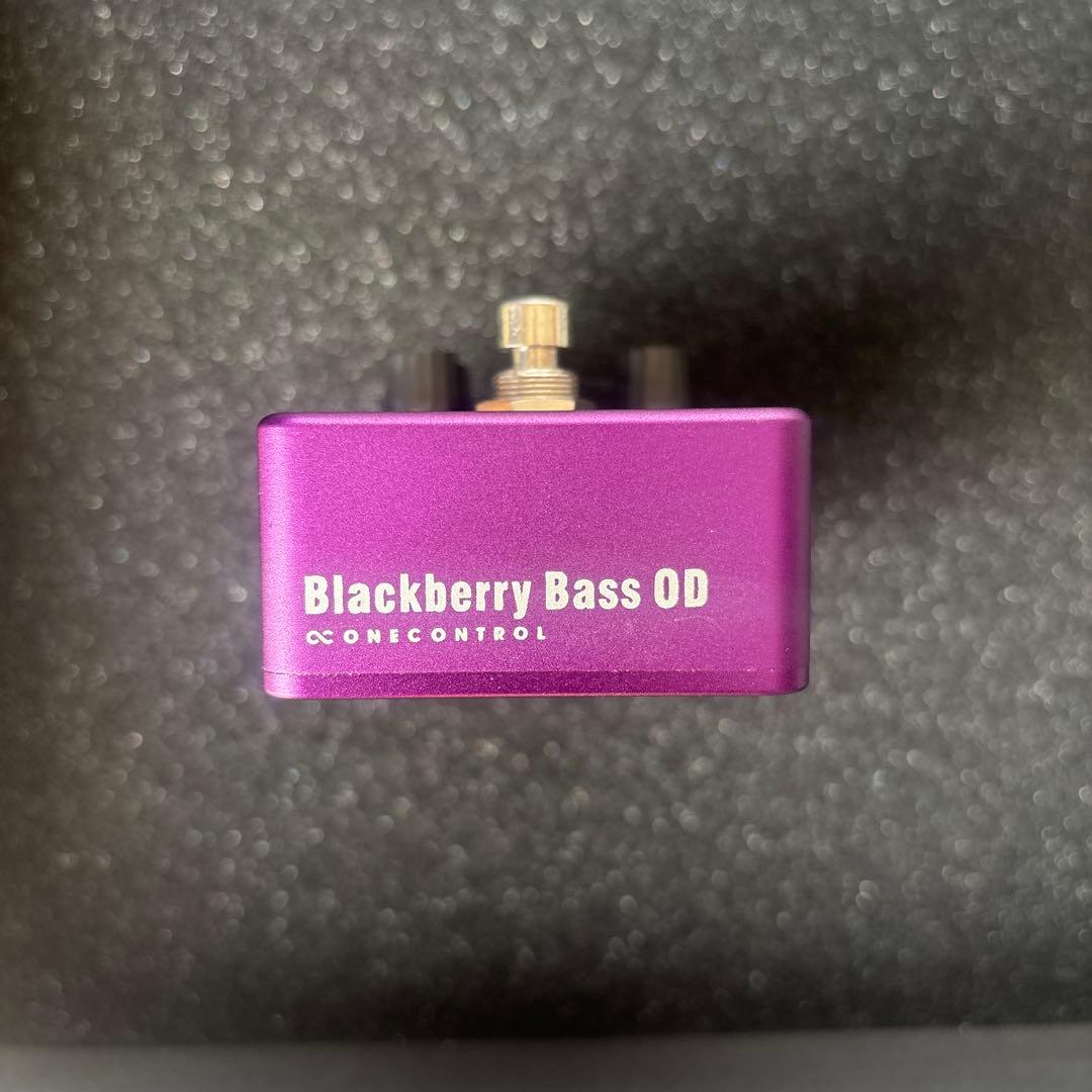ベース Blackberry Bass OD | ONE CONTROL