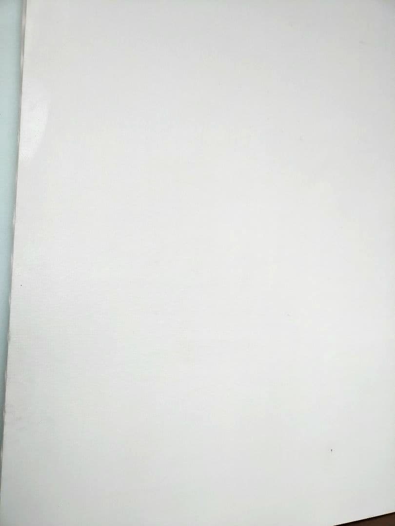 笹部洋画材料店★F80　麻張りキャンバス　杉集成材木枠使用　アクリル絵画/油彩画