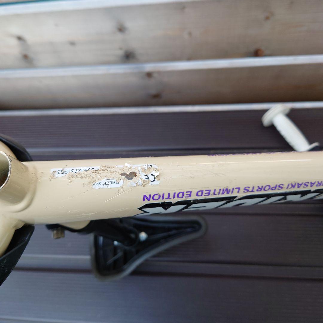 【レア】STRIDER SPORT ムラサキスポーツ限定12inch