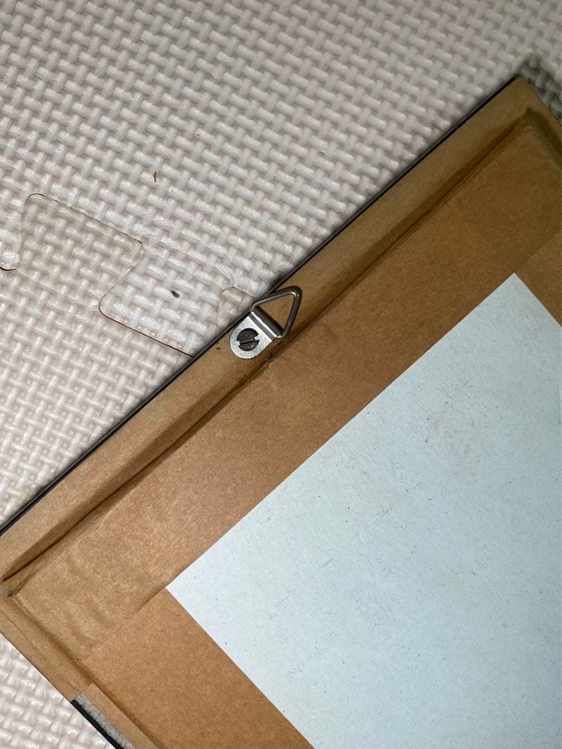 蝶標本 5体セット 壁掛け アンティーク クリニャンクール