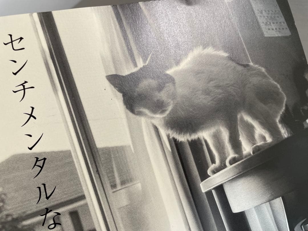 センチメンタルな旅　春の旅　荒木経惟