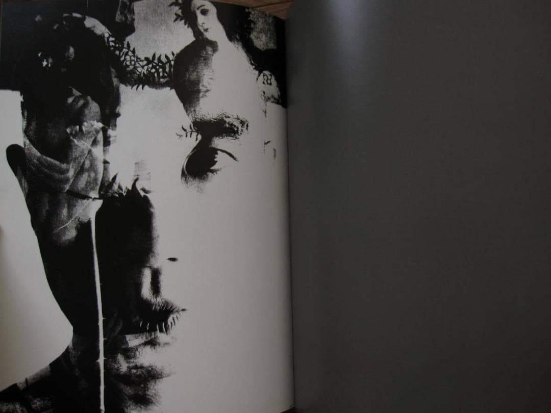 薔薇刑 細江英公 三島由紀夫 初版 帯付き